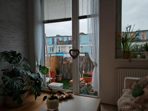 Img 20250201 170042