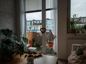 Img 20250201 170047