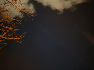 Img 20250201 183749