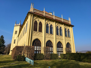 Img 20250209 110614