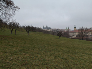 Asus Zenfone 12 Ultra ukázka fotoaparátu, 1× přiblížení