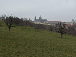 Asus Zenfone 12 Ultra ukázka fotoaparátu, 2× přiblížení