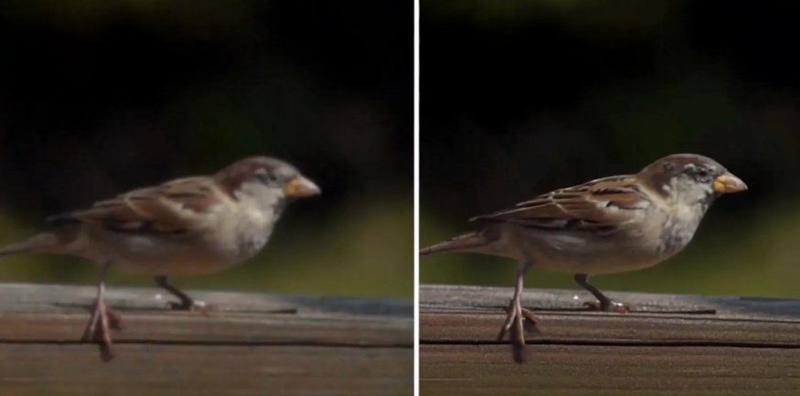 Ukázka zaostření z videa, Topaz Labs, Project Starlight Ukázka zaostření z videa, Topaz Labs, Project Starlight