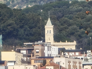 Img 20250228 102138