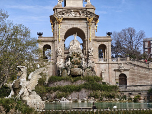 Img 20250228 113506