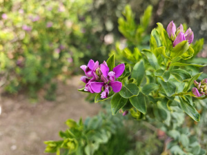 Img 20250301 113902