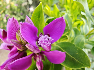 Img 20250301 113927