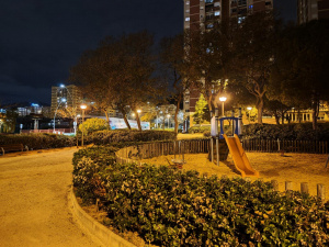 Img 20250301 200501