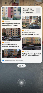 Apple Visual Intelligence 12
