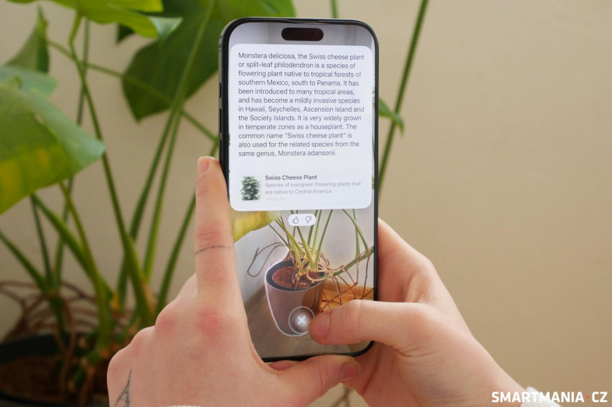 Apple Visual Intelligence, inteligentní vizuální prvky v iOS 18.4