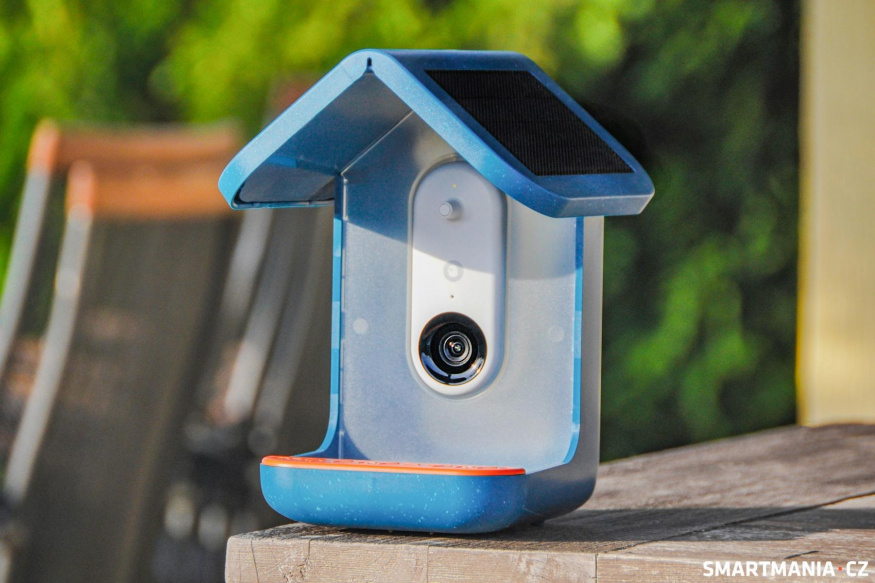 Bird Buddy Pro Solar