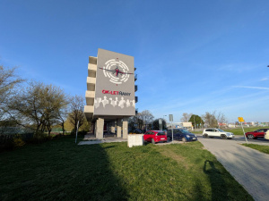 Pxl 20250412 161801173