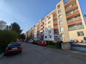Pxl 20250412 162646967