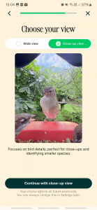 Screenshot 20250405 150428 Bird Buddy