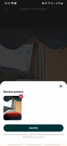 Screenshot 20250419 182614 Bird Buddy
