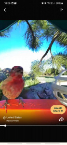 Screenshot 20250419 182657 Bird Buddy
