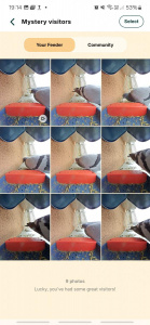 Screenshot 20250419 191439 Bird Buddy