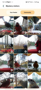 Screenshot 20250419 191444 Bird Buddy