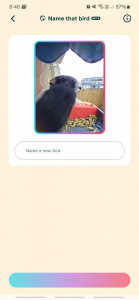 Screenshot 20250420 084817 Bird Buddy