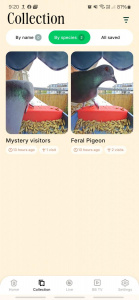 Screenshot 20250420 092022 Bird Buddy
