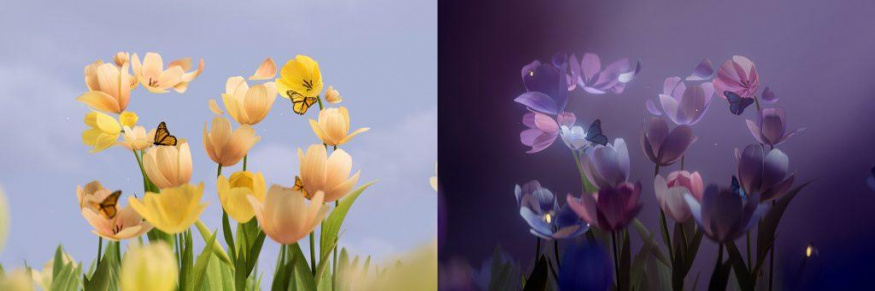 Tulips
