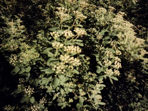 Img20250430232920