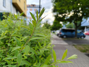Img20250524181918
