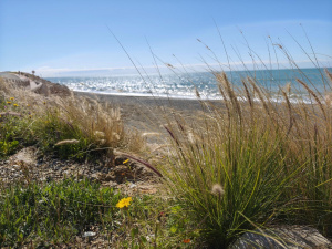 Img 20250315 111836