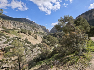Širokoúhlý (0,6×, 14 mm)