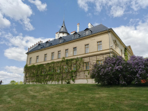 Img 20250509 101926 690