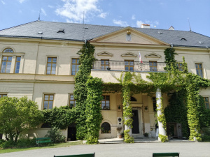Img 20250509 102100 595