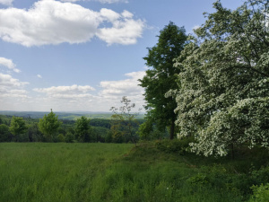 Img 20250509 111331 925