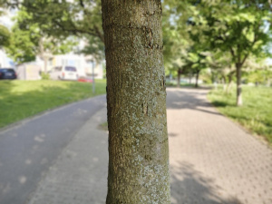 Img 20250514 065940 768