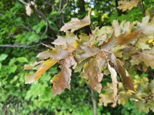 Img 20250521 162323