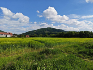 Img 20250521 163518