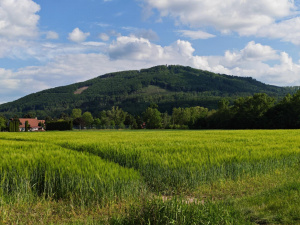 Img 20250521 163520