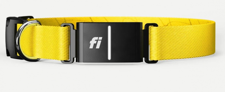 Chytrý obojek Fi Series 3 Plus ve žluté barvě
