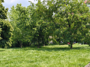 Img20250603122233