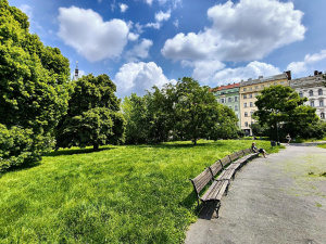 Img20250603122239