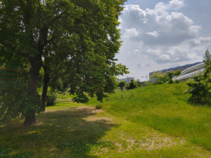 Img20250603125749