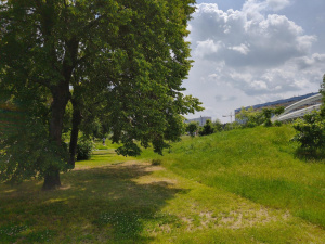 Img20250603125754