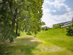 Img20250603125754 Vylepšené Nr