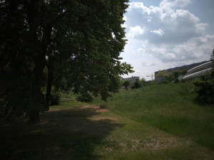Img20250603125754obr