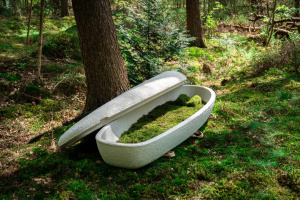 Loop Biotech Living Cocoon 1