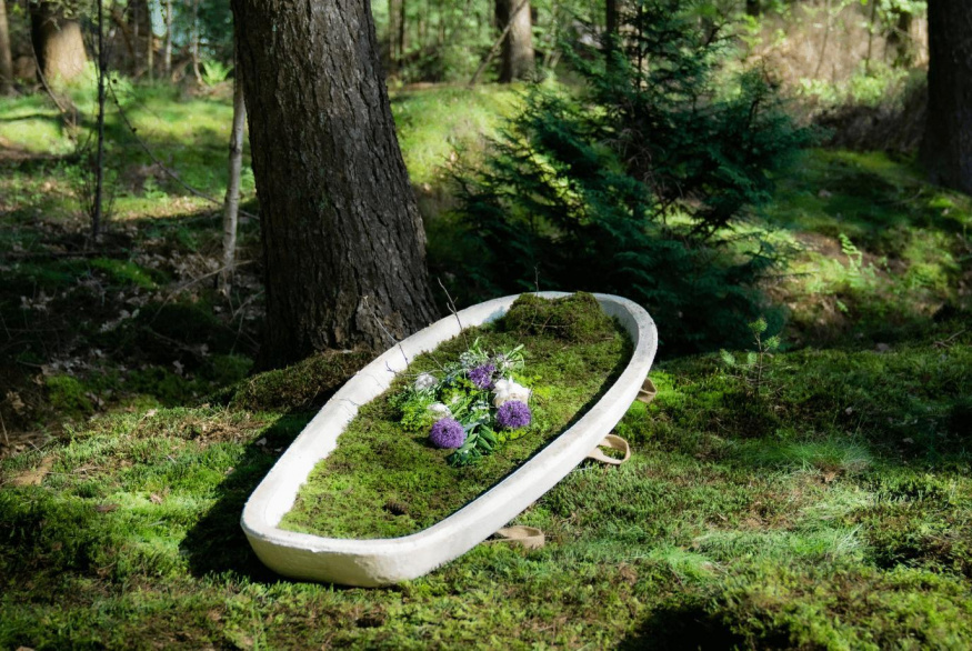 Living Cocoon od Loop Biotech