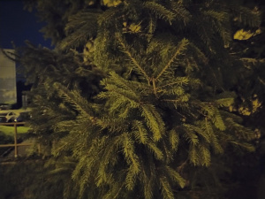 Img 20250806 234514