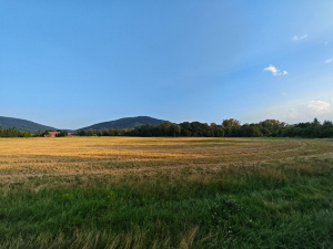 Img 20250810 190935