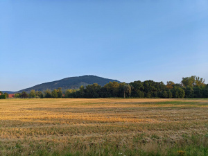 Img 20250810 190937