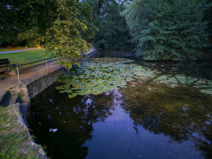 Img 20250810 205051