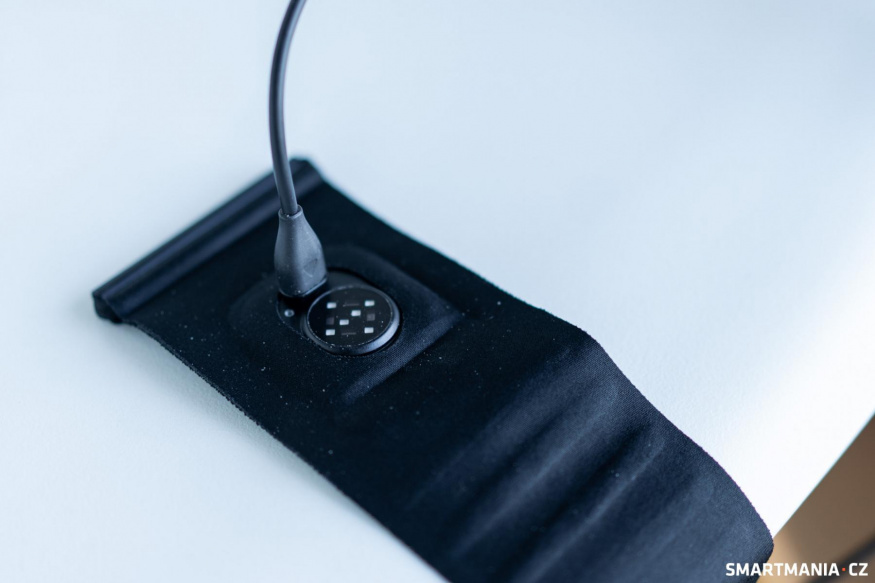 Garmin Index Sleep Monitor 